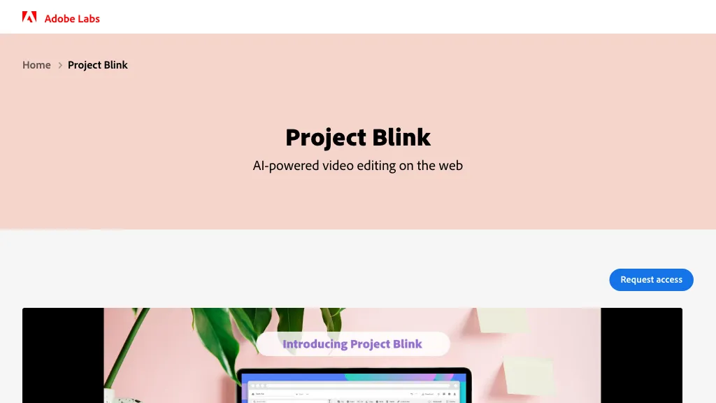 Project Blink AI Tool